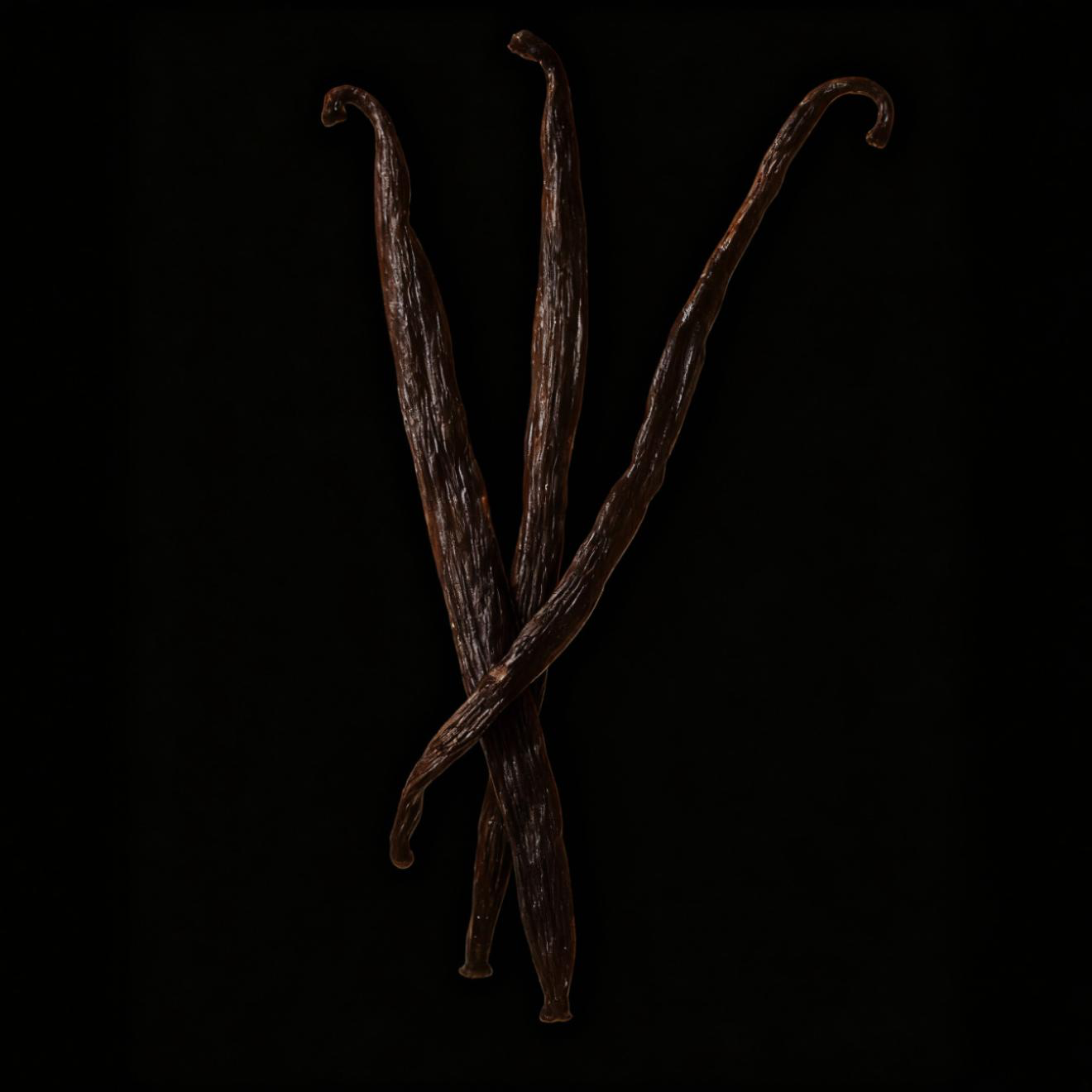 Ein Duft, der die Luft mit einer betörenden Süße erfüllt und eine warme Sinnlichkeit ausstrahlt, der niemand widerstehen kann. WILD VANILLA ist der Inbegriff von purem Sexappeal, eine Komposition, die Wärme und Verführung in jedem Tropfen trägt.