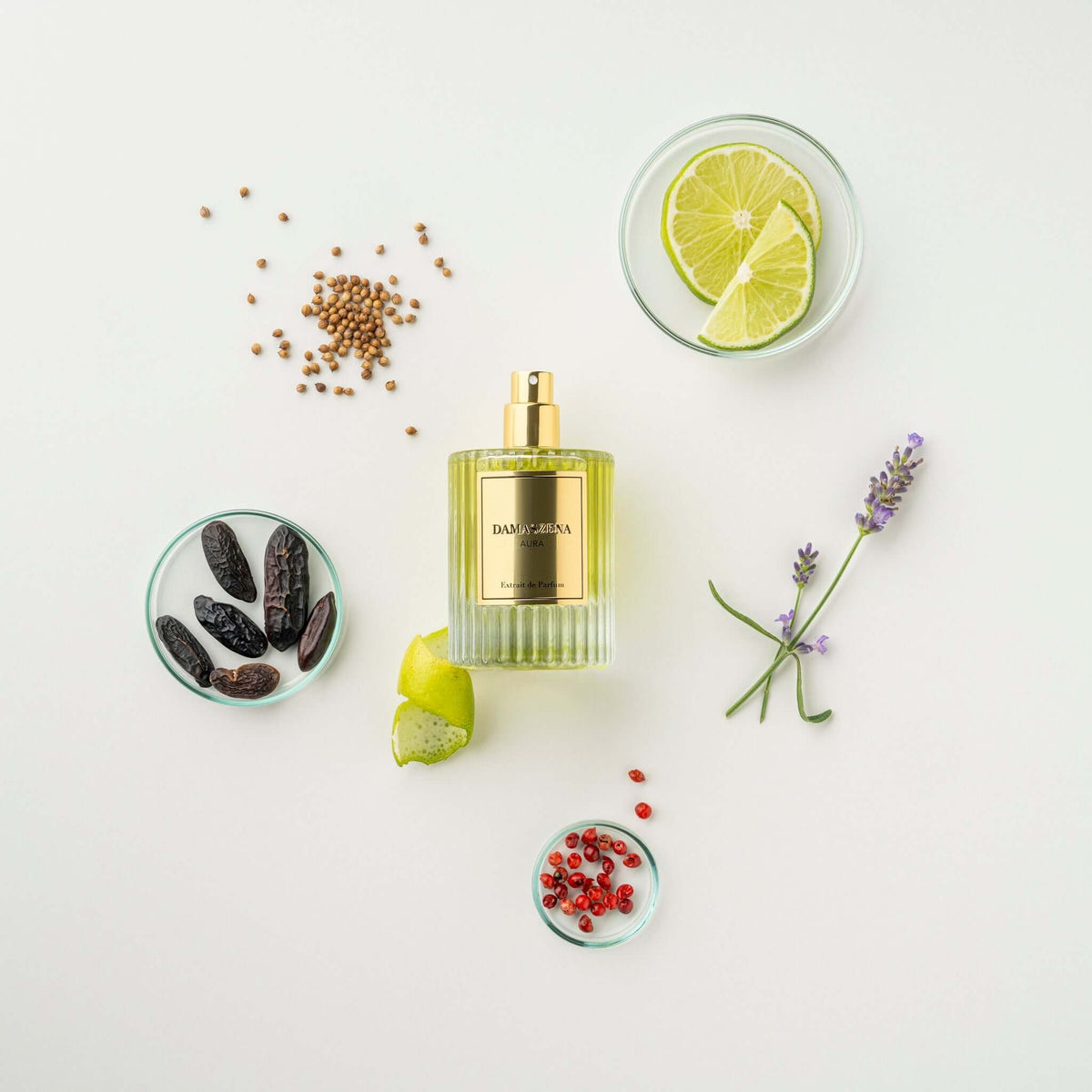 AURA - Extrait de Parfum - NOTEN: BERGAMOTTE | LAVENDEL | CARDAMOM | ZITRONE