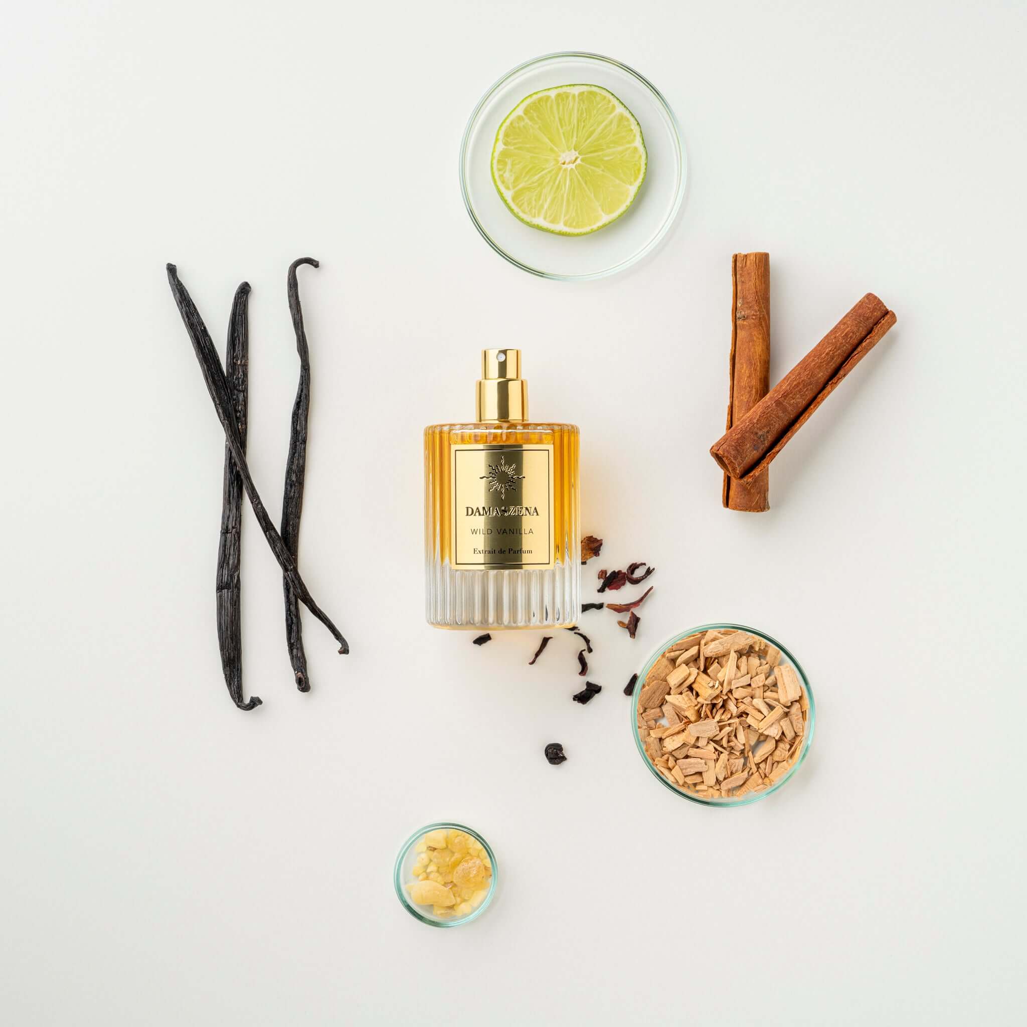 WILD VANILLA - Extrait de Parfum - NOTEN: BOURBON VANILLE | ZIMT | BERGAMOTTE | SANDELHOLZ